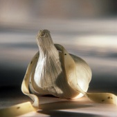 Garlic Bulb with a Piece of Ribbon Pasta