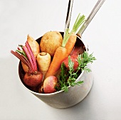 Vegetables in a Pot with Ladle for Making Stock