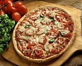 Fresh Tomato Pizza
