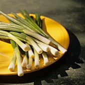 Fresh Scallions on a Yellow Plate