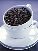 Coffee Beans in a Cup