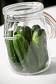 Cucumbers in a Jar