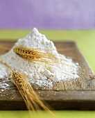 Flour and Wheat on Cutting Board