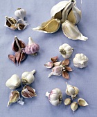 Garlic and garlic cloves, arranged separately