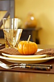 Place Setting with Gourd on Holiday Table