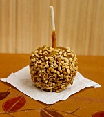A toffee apple rolled in chopped peanuts