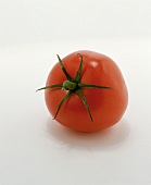 A Ripe Tomato