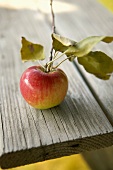 Ein McIntosh Apfel mit Stiel und Blättern auf Holztisch