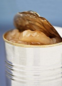 Partially Opened Can of Apple Pie Filling