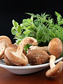 Shitake Mushrooms on a Dish with Dill and Oregano