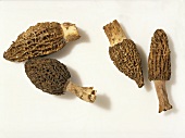 Four Morel Mushrooms on a White Background