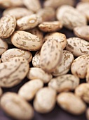 Close Up of Many Pinto Beans