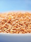 Close Up of a Bowl of Red Lentils