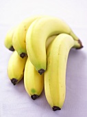 Bananenstaude auf weißem Untergrund