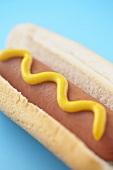 Hot Dog on a Bun with Yellow Mustard