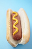 Hot Dog with Yellow Mustard on a Blue Background