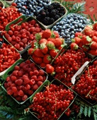 Containers of Many Assorted Berries