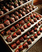 Many Trays of Chocolate Covered Strawberries