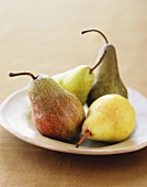 Four Types of Pears