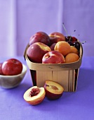 Peaches, Apricots, Nectarines and Cherries