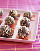 Chocolate Truffles with Ground Nuts