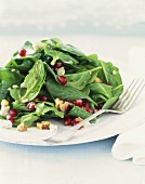 Spinach Salad with Pomegranate Seeds