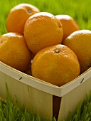 Mehrere Clementinen im Spankorb auf Wiese