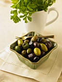 Grüne und schwarze Oliven in Schale, frische Petersilie