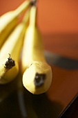 Close Up of Ends of Bananas