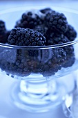 Organic Blackberries in a Glass Bowl