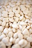 Many Organic Dried Lima Beans