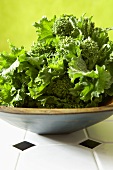 Bowl of Fresh Organic Broccoli Rabe
