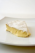 Stück Brie auf weißem Teller