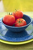 Drei Tomaten in blauer Schale