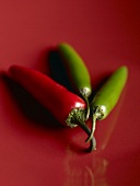 Two Green and One Red Jalapeno Peppers on Red