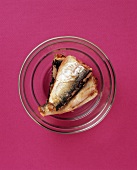 Bowl of Sardines, From Above