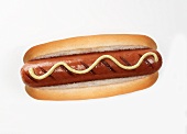 A grilled hot dog with mustard