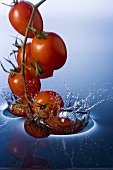 Vine tomatoes falling into water