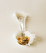Cornflakes and a spoon falling into milk