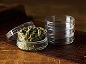 Echinacea, dried in glass jars