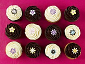 Cupcakes decorated with sugar flowers, seen from above