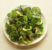 Gemischter Blattsalat mit Gurkenscheiben (Draufsicht)
