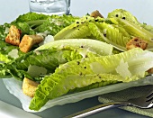 Caesar Salad on a Plate