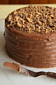 Whole Eight Layered Chocolate Peanut Butter Cake
