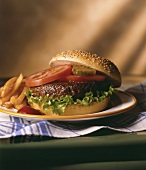 Hamburger with Lettuce, Tomato and Pickle, Fries
