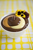 Chocolate, Vanilla and Butterscotch Pudding Swirled in a Bowl