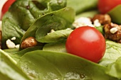 Close Up of a Salad with Cherry Tomato