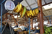 Bananas Hanging at a Farmers Market