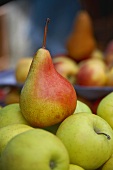 Eine Birne auf mehreren Golden Delicious Äpfeln