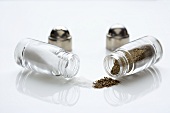 Salt and Peppers Shakers with Tops Removed; Tipped Over